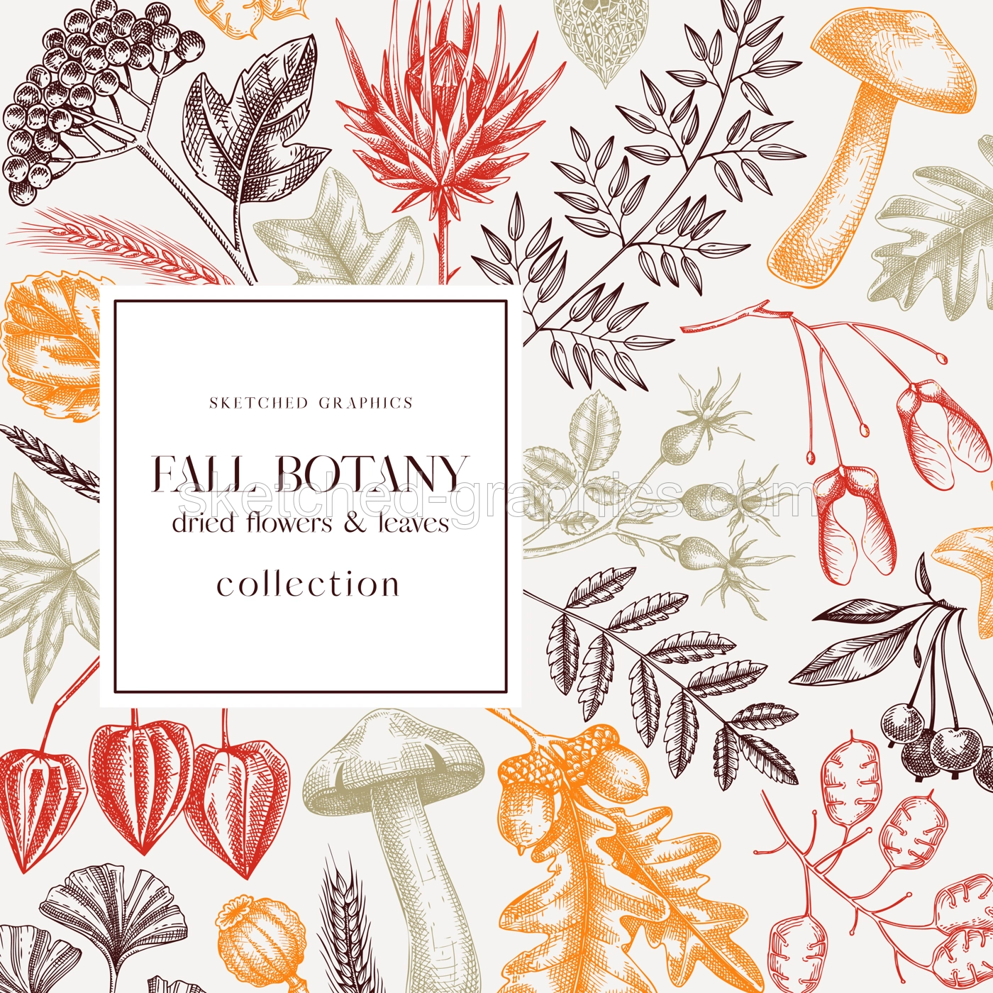 Autumn card or invitation in color. Thanksgiving banner design. Fall wreath with fall leaves and dried flowers. Sketched dried herbs, falling leaves, mushrooms, seeds frame.  Illustration
